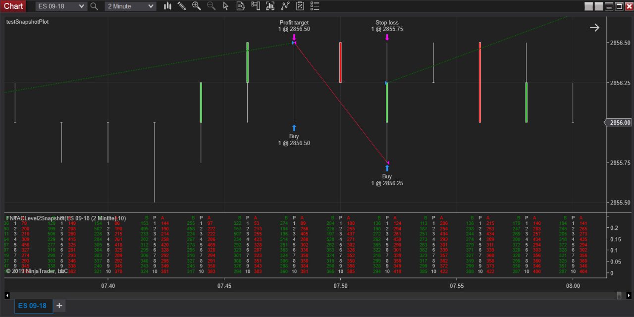 Footprint Chart Indicator Trading Software NinjaTrading Downloads